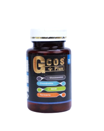 GCOS PLUS